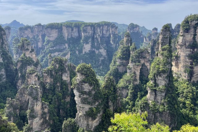 抖音个人账号带货门槛要求再降低 有效粉丝量达到500即可