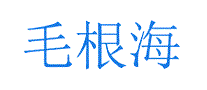 毛根海