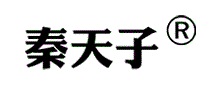 秦天子