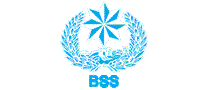 BSS