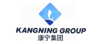 康宁集团