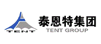泰恩特