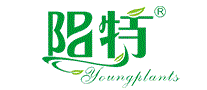 阳特