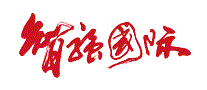 智强国际