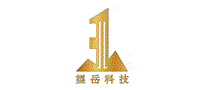 望岳科技