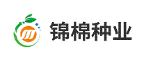 锦棉种业