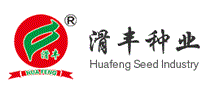 滑丰HUAFENG