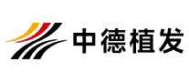 中德植发