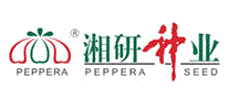 湘研