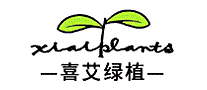 喜艾
