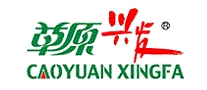 草原兴发