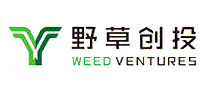 野草创投