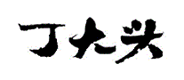丁大头